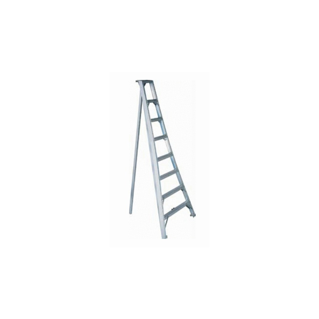 ALUMINIUM LADDER FOR FRUITHARVESTING